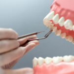 Periodontist explaining a dental implant model to a patient